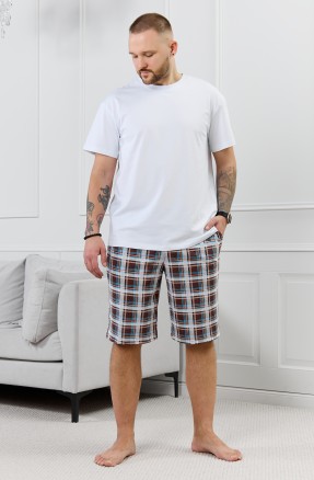 Шорты мужские Тор-2.1