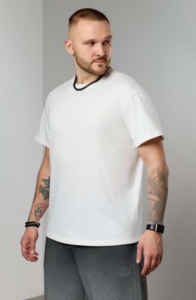 Фуфайка (футболка) мужская Бруно-3